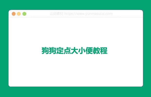 狗狗定点大小便教程