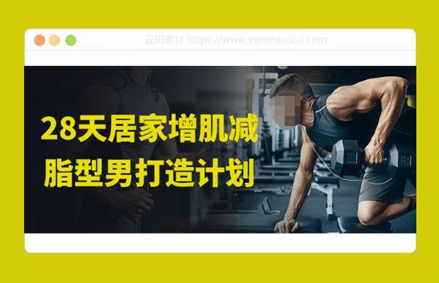 28天居家增肌减脂型男打造计划课程
