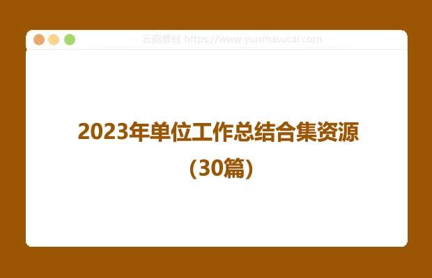 2023年单位工作总结合集资源（30篇）